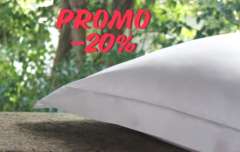 Gizeh Taies d'Oreiller 100% Coton d'Egypte Pecale